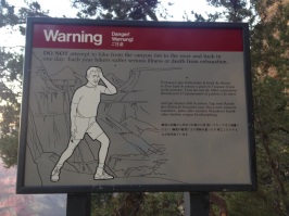 WARNING: DO NOT attempt to hike from the canyon rim to the river and back in one day. Each year hikers suffer serious illness or death from exhaustion.